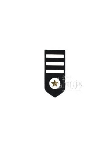 Aplicación insignia militar v1