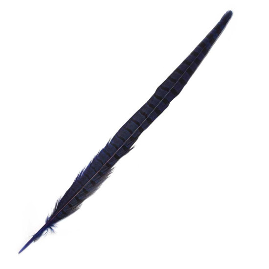 Pluma faisán 45cm