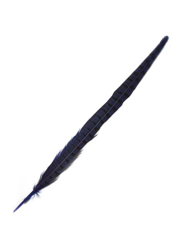 Pluma faisán 45cm