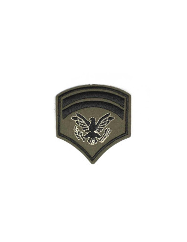Parche para ropa militar barras/águila