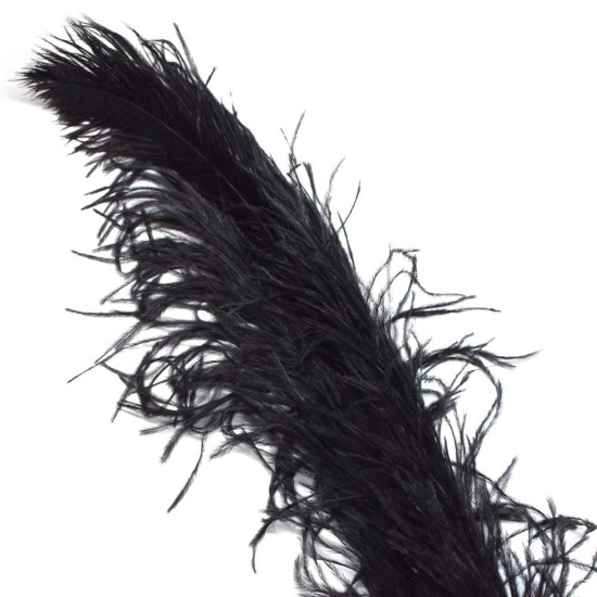 Pluma avestruz negro
