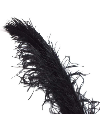 Pluma avestruz negro