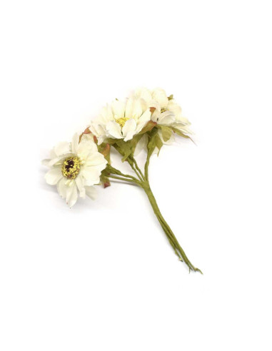 Ramillete de 6 flores margarita