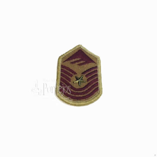 Aplicación insignia