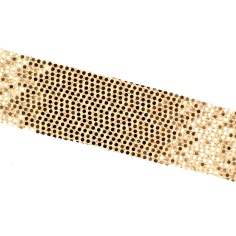 Trimming of sequins | Haberdashery Online Pontejos