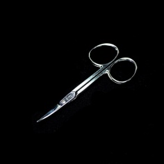 Scissor Manicure curve Fine sheet 2.5cm | Haberdashery Online Pontejos