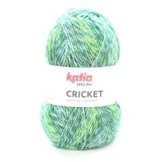 Yarn ball Cricket 100gr | Haberdashery Online Pontejos 2