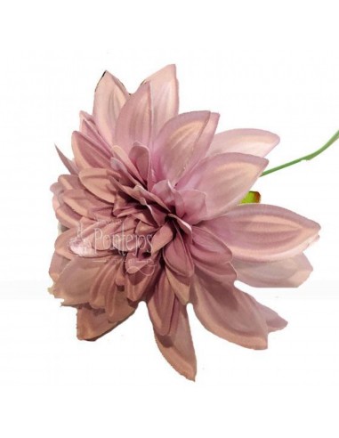 Flor pick dahlia