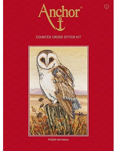 Kit punto de cruz owl horizon