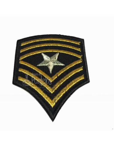 Aplicación insignia militar